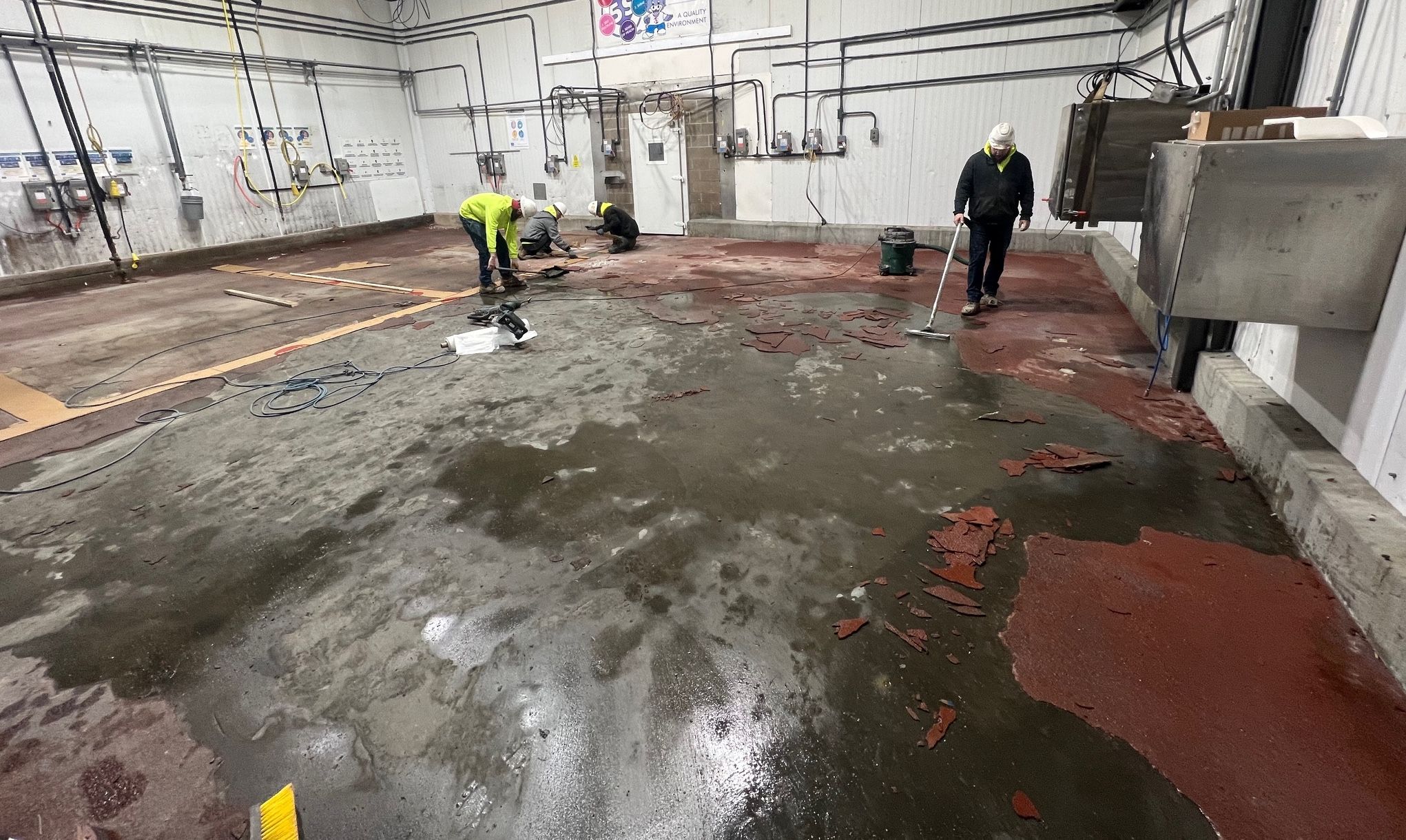 Badly delaminated red epoxy floor in beef processing facility being removed by SaniCrete crew