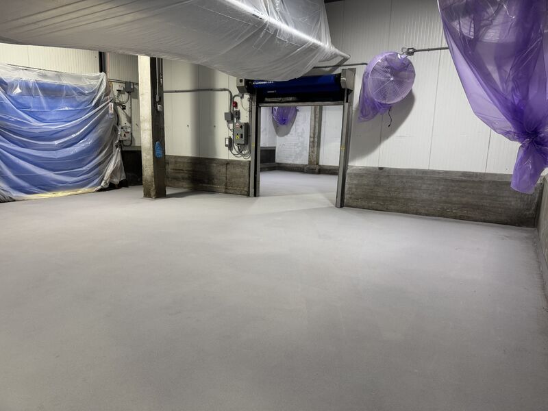 Finished SaniCrete STX floor and cove in a blast freezer and cooler
