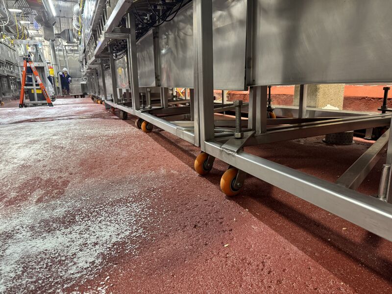 Failed dairy brick and coating under low clearance food processing conveyors