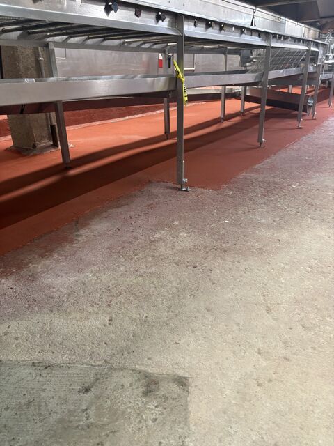 Finished red SaniCrete STX floor installed below stainless food processing conveyors