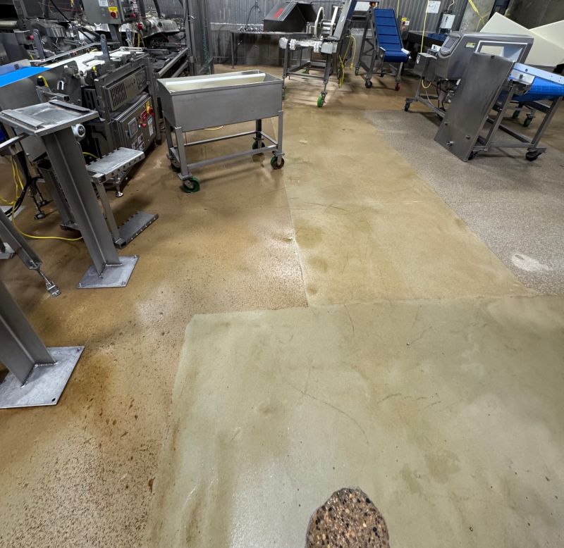 Worn and patched floor coating around stainless food processing equipment