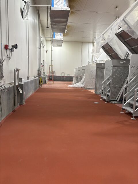 Prepared concrete slab after failed food plant floor removal