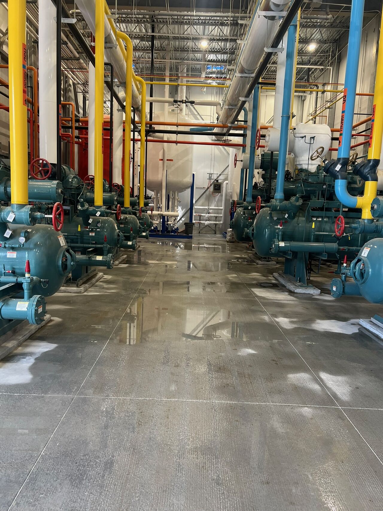 Floor after washdown — water draining properly with zero pooling, exactly as designed