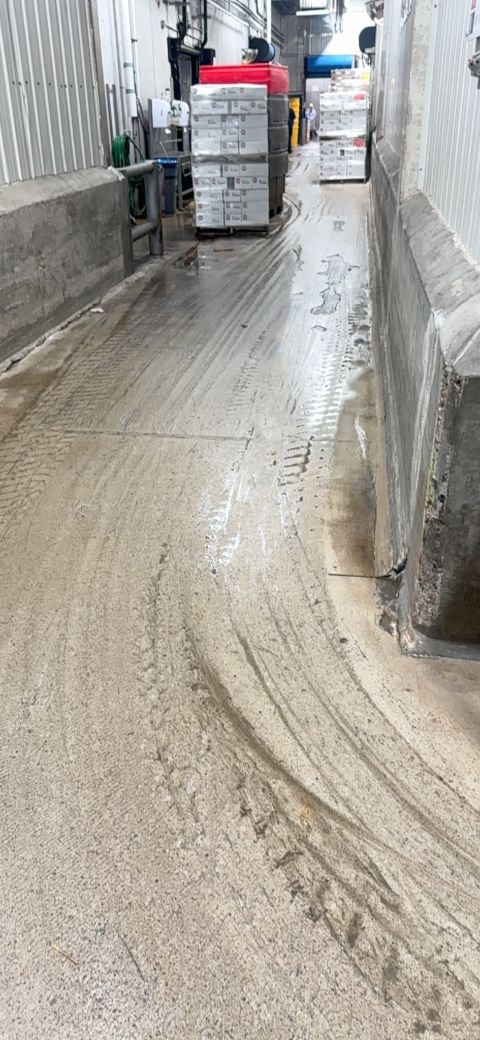 Food plant production corridor with worn floor and washdown traffic before STX installation